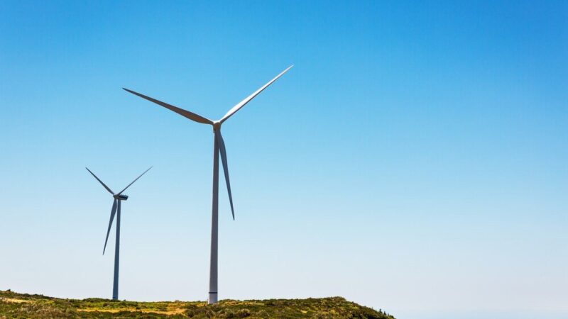 Przydomowa elektrownia wiatrowa – jak uzyskać dofinansowanie i zarabiać na wietrze?